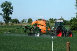 Up to now, in the EU the concentrations of pesticides from agricultural use in surface waters have been predicted using the FOCUS model (photo by R. Bereswill)