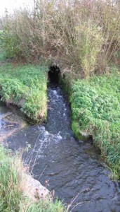Wastewater flowing into a stream (photo by M. Bundschuh)