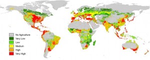 Global insecticide risk map (taken from publication)