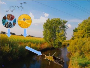 Neonicotinoid entering a stream (collage by D. Englert)