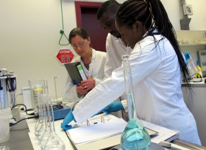Students during a lab course
