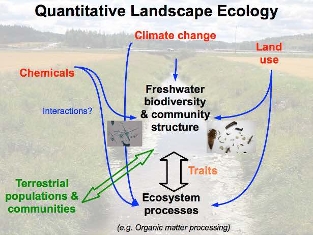 Overview of the core topics of the working group Quantitative Landscape Ecology