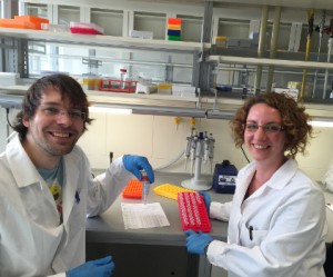 Vasco Elbrecht and Anna Kästel in the lab in Essen. Two weeks to prepare one small tube with all the DNA of about 2000 chironomid specimens! (photo by V. Elbrecht)