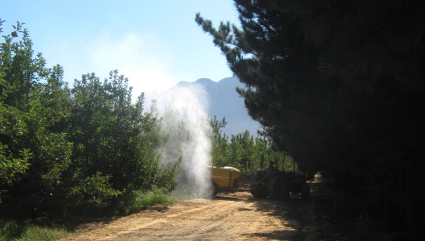 Pesticide application in orchards in the Lourens River catchment, South Africa (photo by U. Bangert)