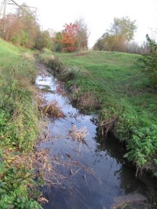 Vegetated ditch in the agricultural landscape (photo by M. Bundschuh)