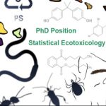 Picture noting PhD position in statistical ecotoxicology