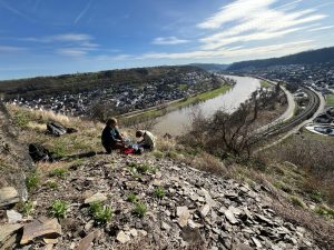 Members of the Ecotoxicology and Community Ecology team sample soil and vegetation from the slopes of the river Mosel