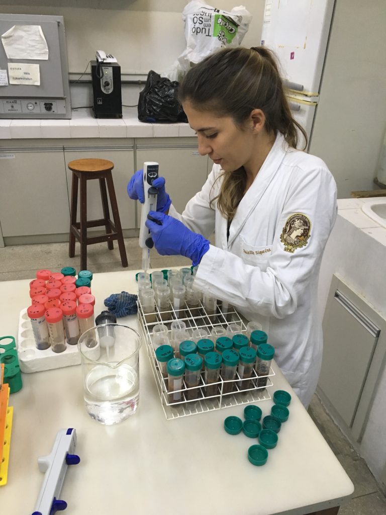 Danielle conducting ecotox tests in lab