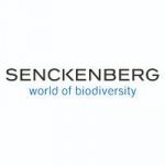 senckenberg "world of diversity" logo