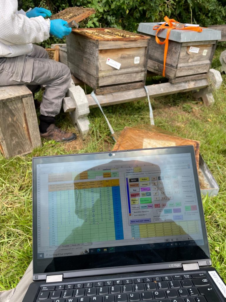 Taking field notes of bee samplings