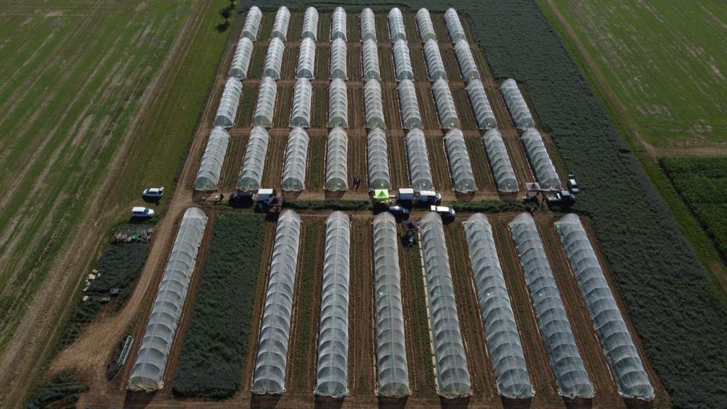 Areal view of research field