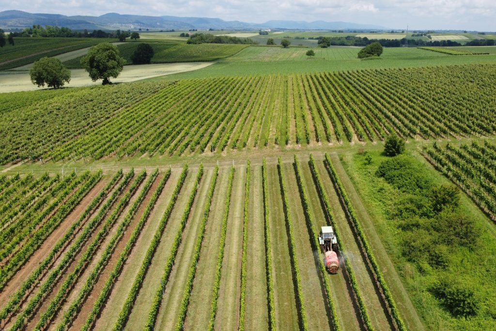 Aerial photo. Pesticide application in vineyards. Photo: Carsten A. Brühl