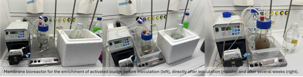 Membrane bioreactor for the enrichment of activated sludge before inoculation (left), directly after inoculation (middle) and after several weeks (right)